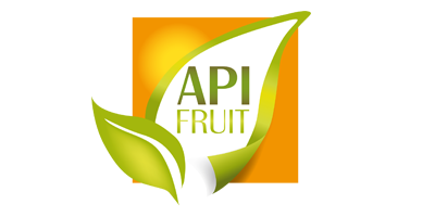 logo_api